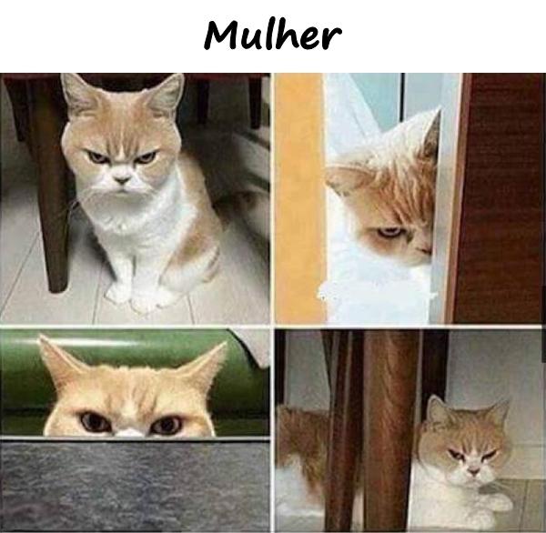 Mulher