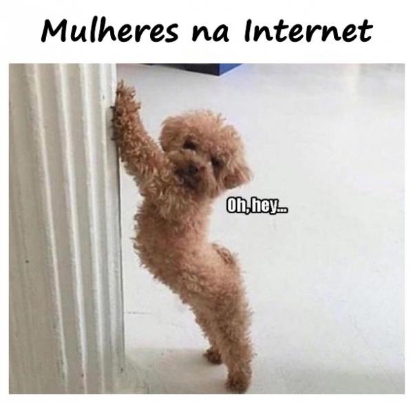 Mulheres na Internet