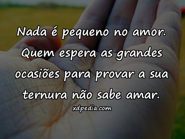 Nada é pequeno no amor. Quem espera as grandes ocasiões para provar a sua ternura não sabe amar.