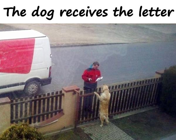O cachorro recebe a carta