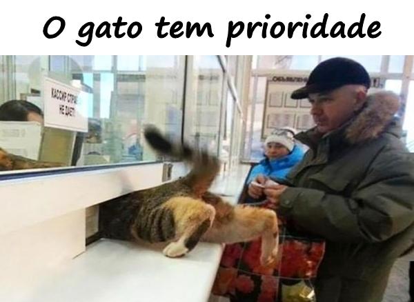 O gato tem prioridade