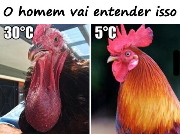 O homem vai entender isso