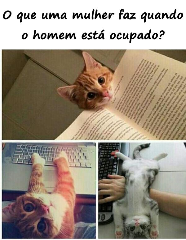 O que uma mulher faz quando o homem está ocupado?