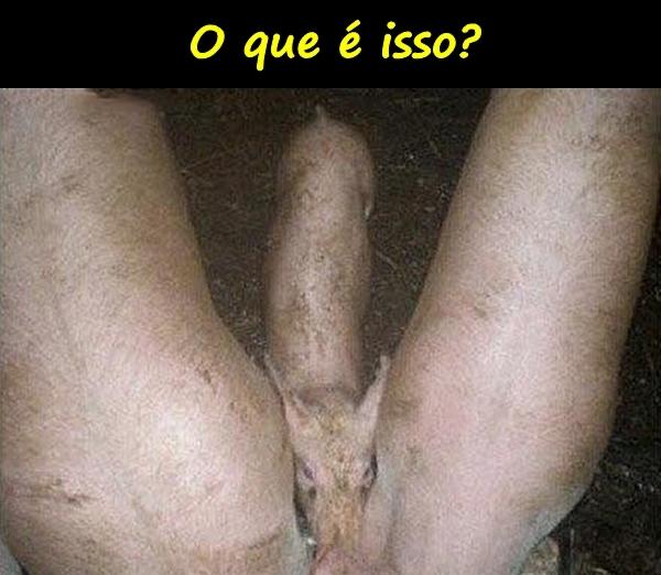 O que é isso?