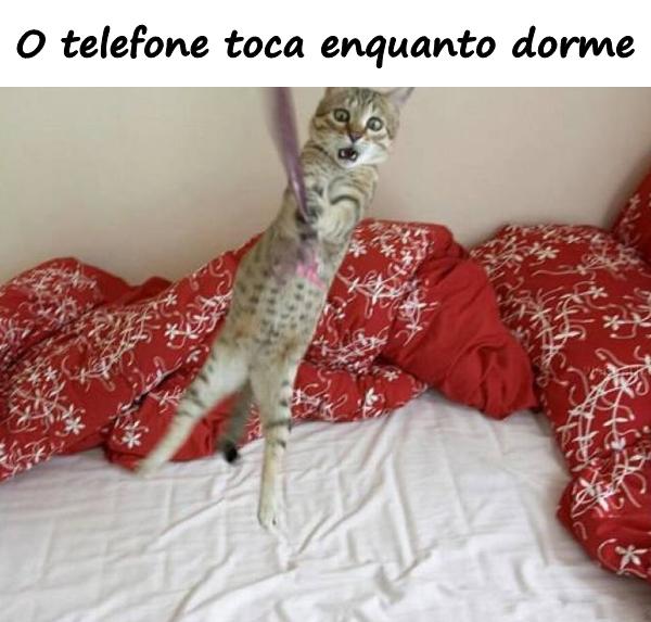 O telefone toca enquanto dorme