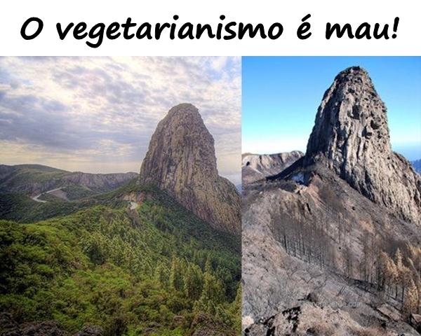 O vegetarianismo é mau!