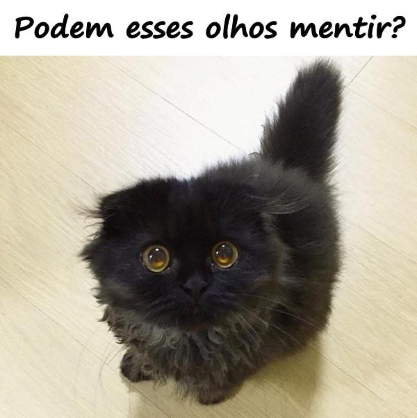 Podem esses olhos mentir?