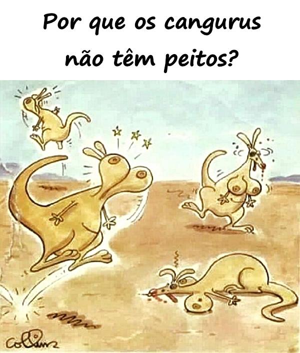 Por que os cangurus não têm peitos?