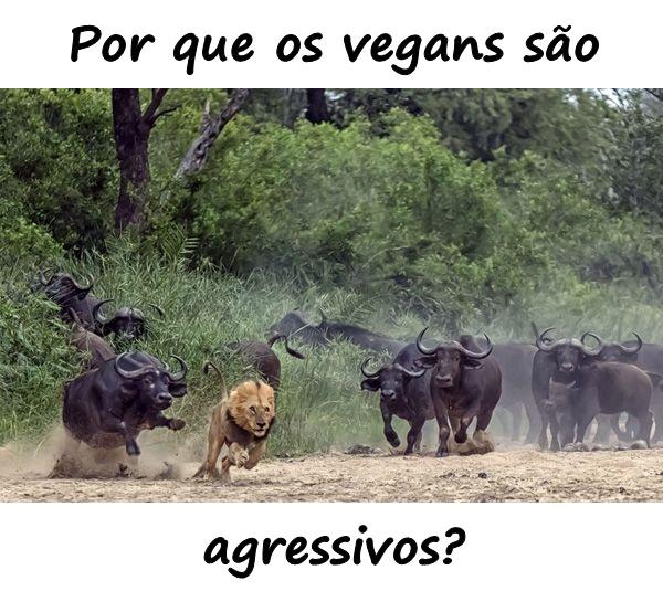 Por que os vegans são agressivos?