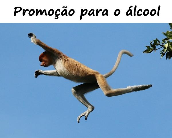 Promoção para o álcool