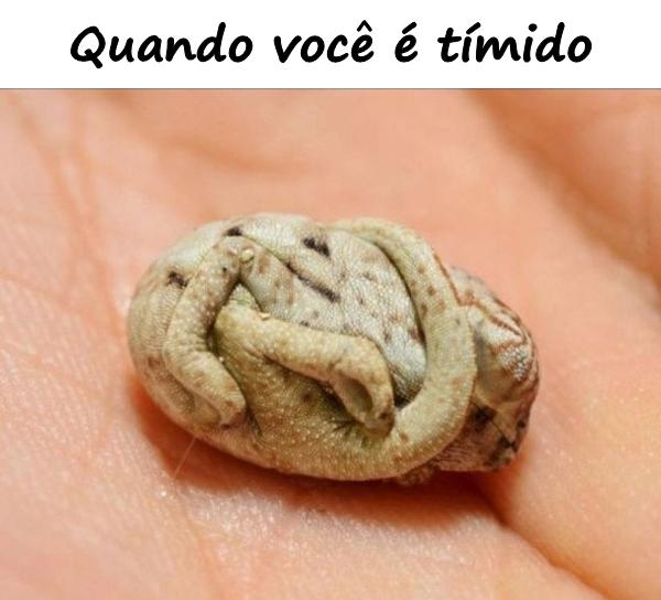 Quando você é tímido