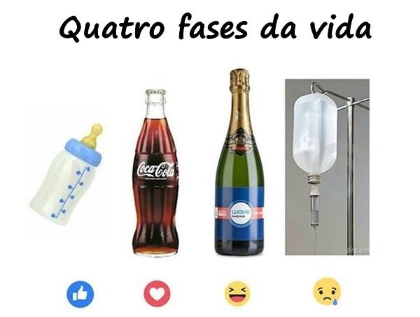 Quatro fases da vida