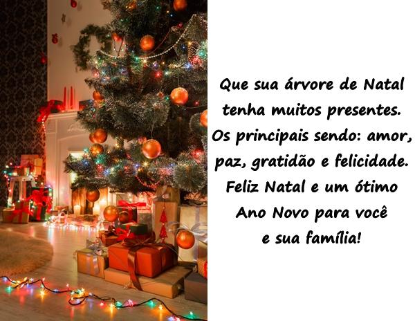 Que sua árvore de Natal tenha muitos presentes. Os principais sendo: amor, paz, gratidão e felicidade. Feliz Natal e um ótimo Ano Novo para você e sua família!