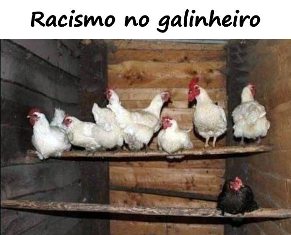 Racismo no galinheiro