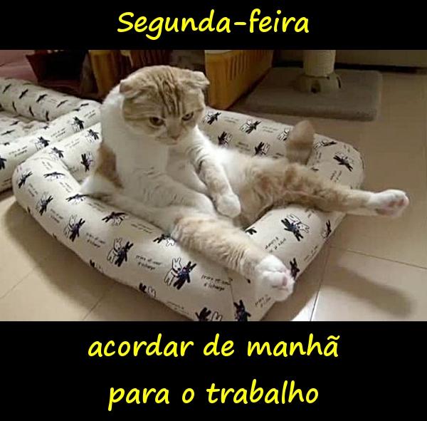 Segunda-feira - acordar de manhã para o trabalho