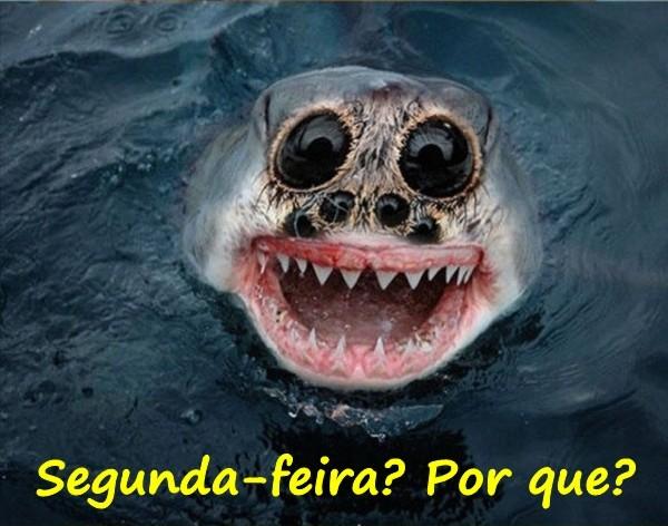 Segunda-feira? Por quê?