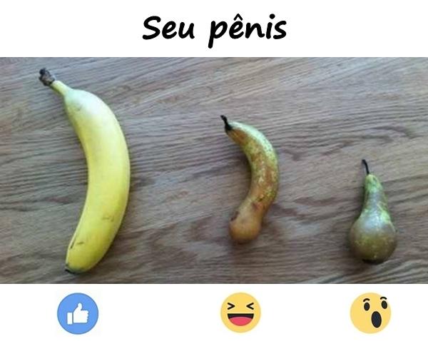 Seu pênis