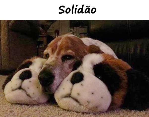 Solidão