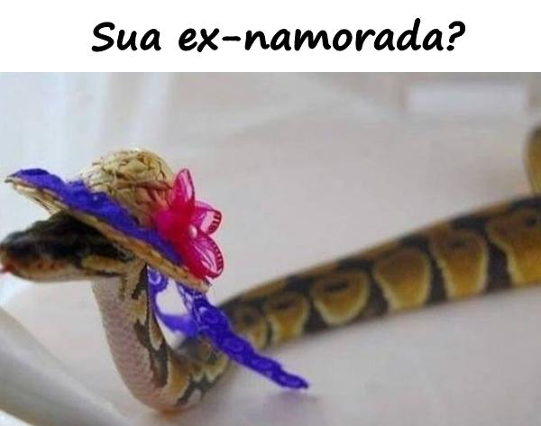 Sua ex-namorada?