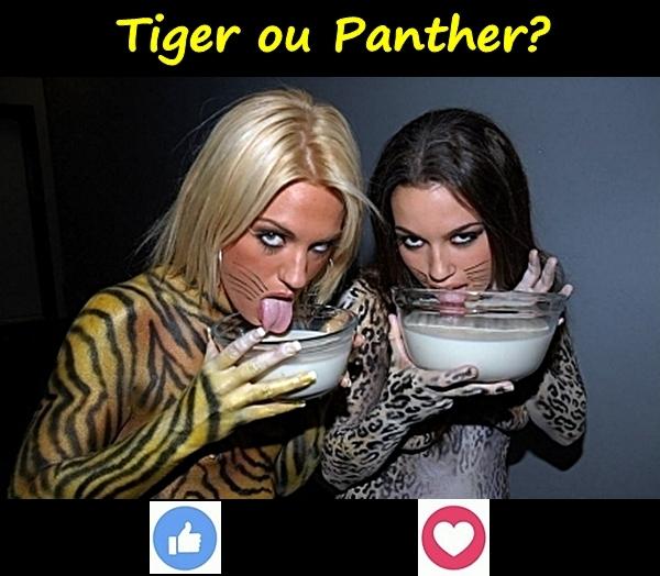 Tiger ou Panther?