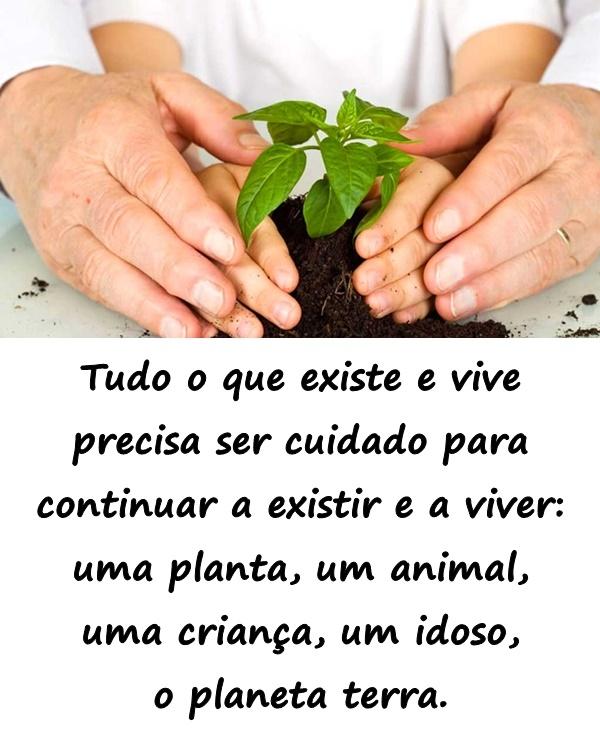 Tudo o que existe e vive precisa ser cuidado para continuar a existir e a viver: uma planta, um animal, uma criança, um idoso, o planeta terra.