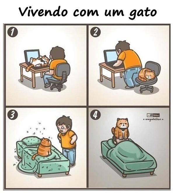 Vivendo com um gato