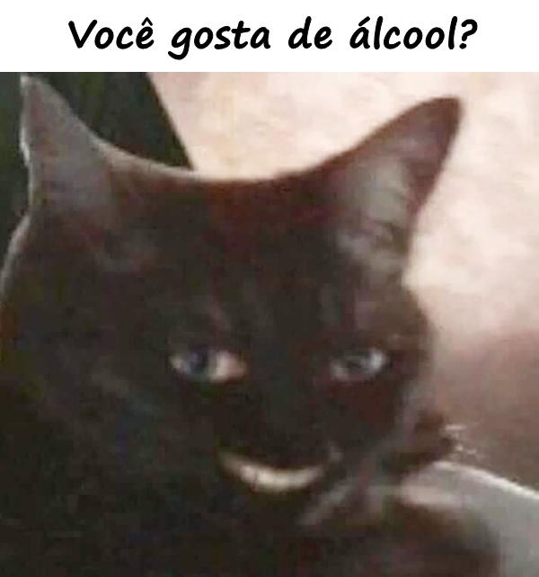 Você gosta de álcool?