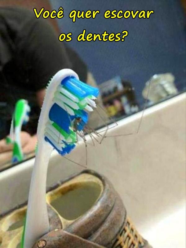 Você quer escovar os dentes?