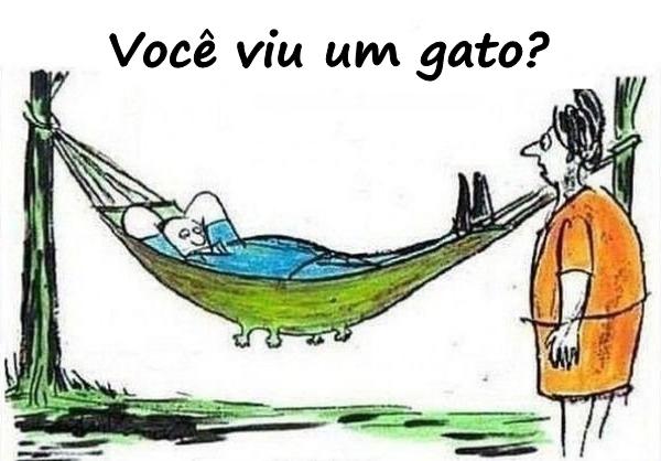 Você viu um gato?