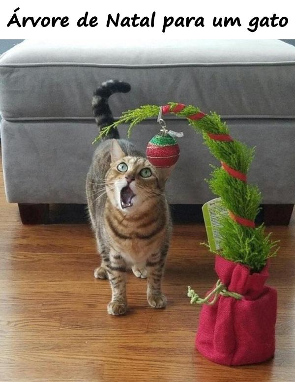 Árvore de Natal para um gato