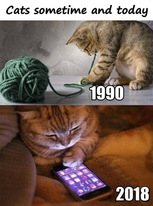 Cats sometime and today