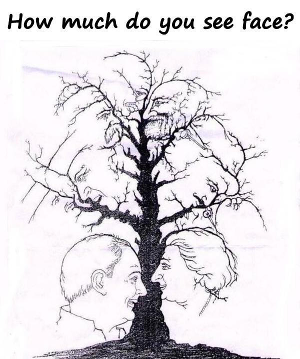 Riddle: How much do you see face?