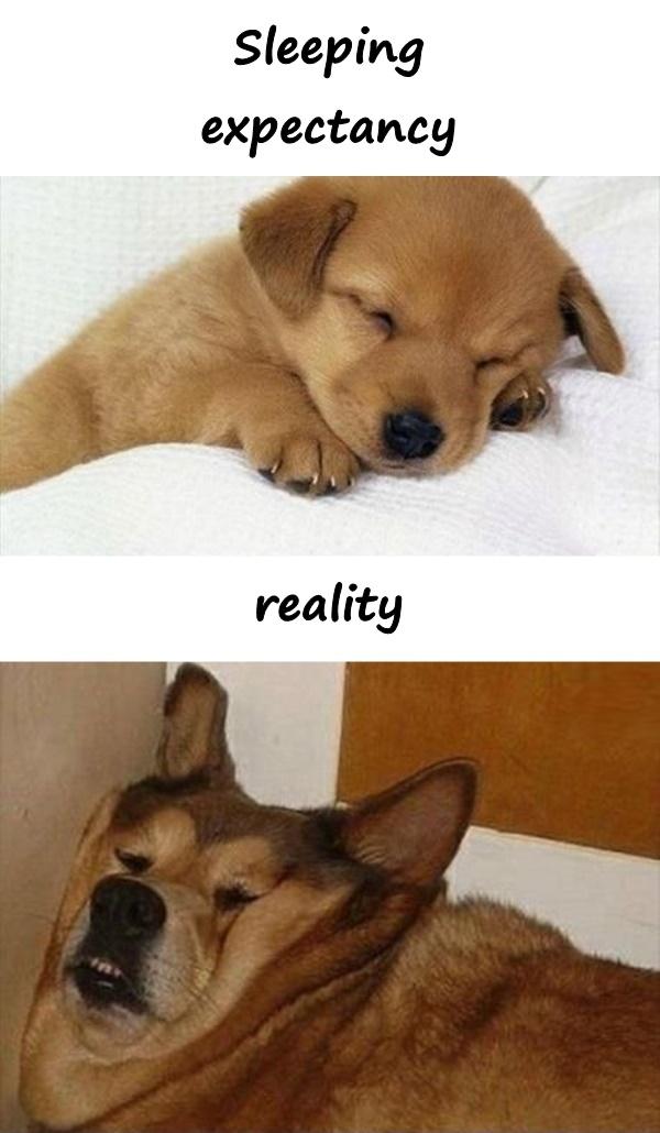 Sleeping - expectation and reality