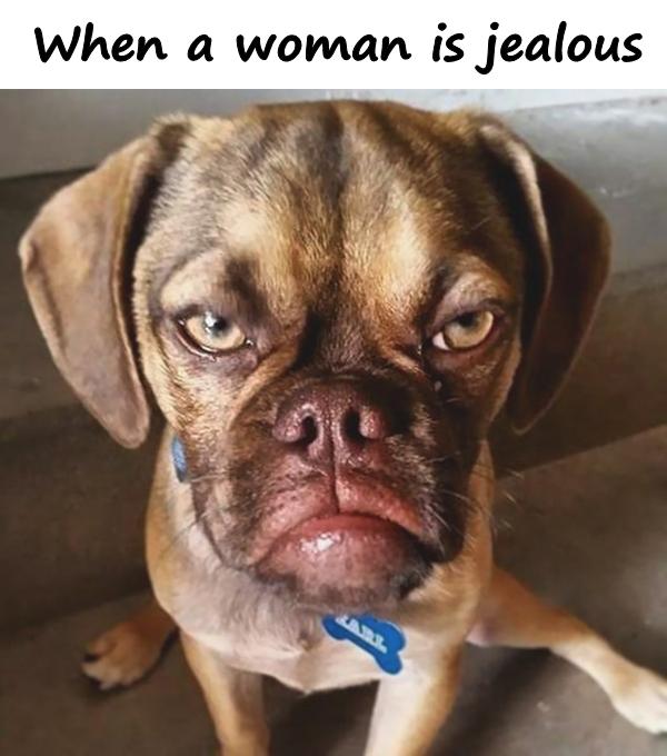 funny jealous pictures