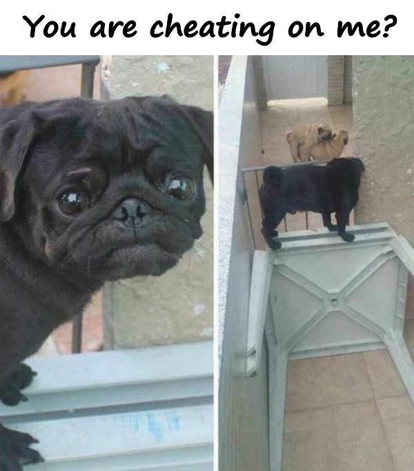 You are cheating on me?