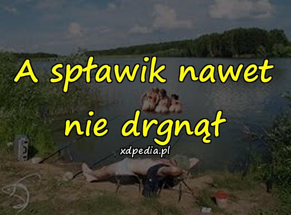 A spławik nawet nie drgnął