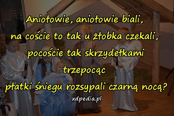 Aniołowie, aniołowie biali, 
na coście to tak u żłobka czekali, 
pocoście tak skrzydełkami trzepocąc 
płatki śniegu rozsypali czarną nocą?