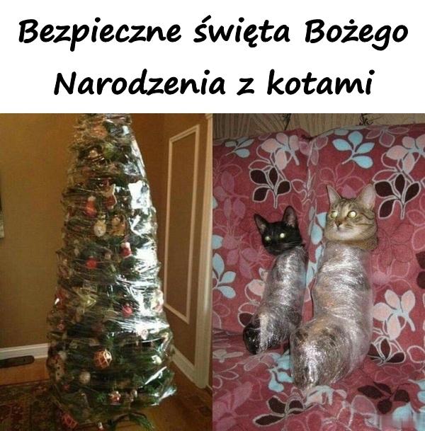 Bezpieczne święta Bożego Narodzenia z kotami