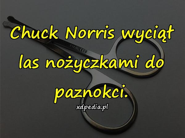 Chuck Norris wyciął las nożyczkami do paznokci.