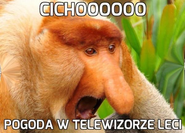 Cichoooooo
pogoda w telewizorze leci