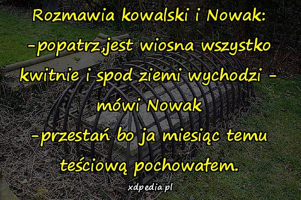 Rozmawia kowalski i Nowak: -popatrz,jest wiosna wszystko kwitnie i spod ziemi wychodzi - mówi Nowak -przestań bo ja miesiąc temu teściową pochowałem.