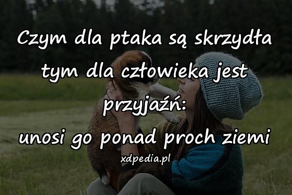 Czym dla ptaka są skrzydła
tym dla człowieka jest przyjaźń:
unosi go ponad proch ziemi