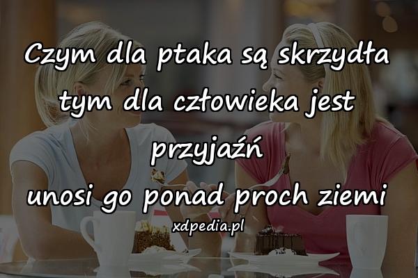 Czym dla ptaka są skrzydła
tym dla człowieka jest przyjaźń
unosi go ponad proch ziemi