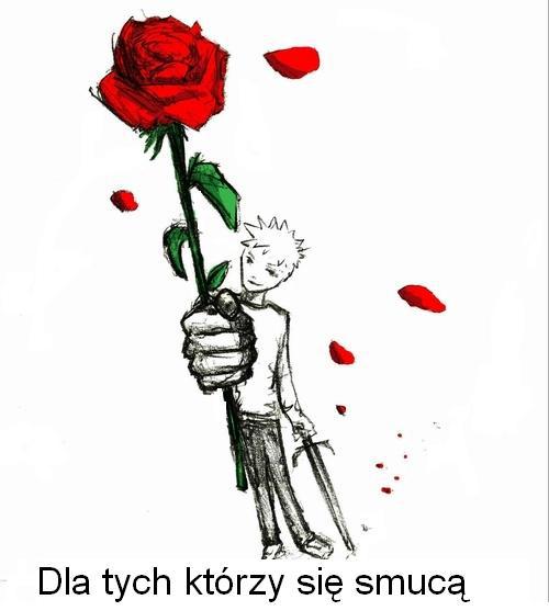 Oto róża dla tych, którzy się smucą.