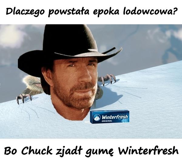 Dlaczego powstała epoka lodowcowa? Bo Chuck zjadł gumę Winterfresh.