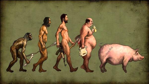 Ewolucja człowieka. Wszystko zaczęło się od małpy, a skończyło na świni. Obrazek w sam raz na reklamę fast food.