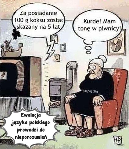 Ewolucja języka polskiego prowadzi do nieporozumień... TV: Za posiadanie 100 g koksu został skazany na 5 lat Babcia: Kurde! Mam tonę w piwnicy!