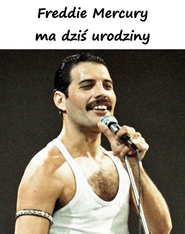 Freddie Mercury ma dziś urodziny