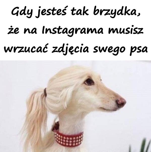 Gdy jesteś tak brzydka, że na Instagrama musisz wrzucać zdjęcia swego psa
