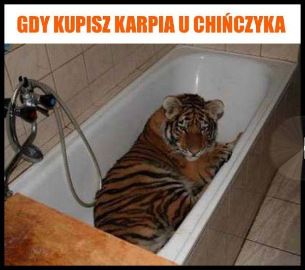 Gdy kupisz karpia u chińczyka